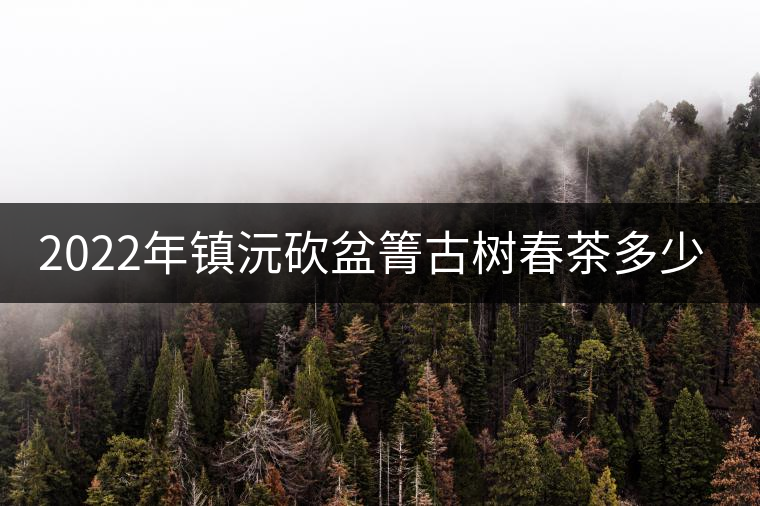 2022年鎮(zhèn)沅砍盆箐古樹春茶多少錢一公斤？