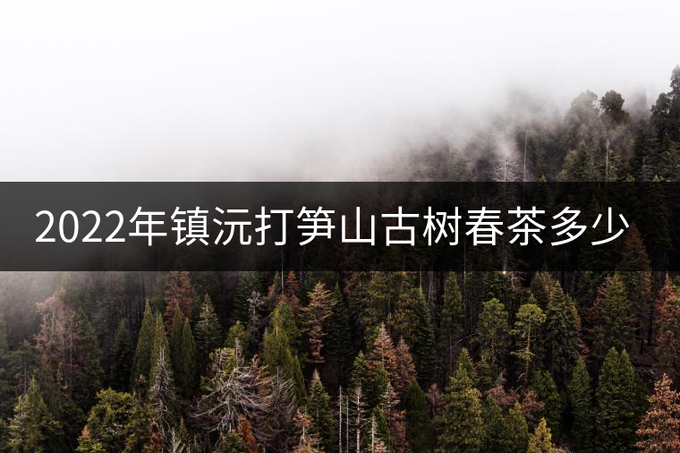2022年鎮(zhèn)沅打筍山古樹春茶多少錢一公斤？