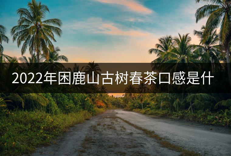 2022年困鹿山古樹春茶口感是什么？