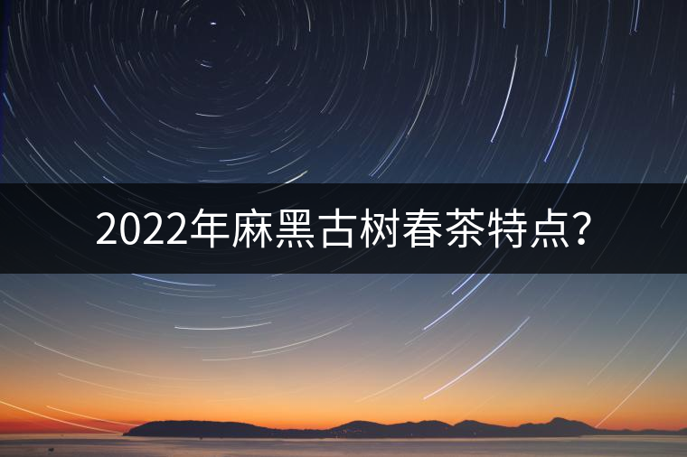 2022年麻黑古樹春茶特點(diǎn)？