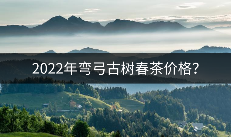 2022年彎弓古樹春茶價(jià)格？