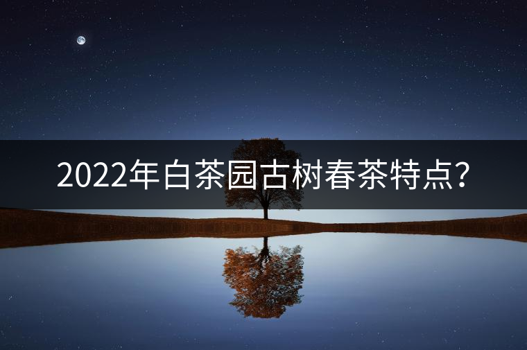 2022年白茶園古樹(shù)春茶特點(diǎn)？