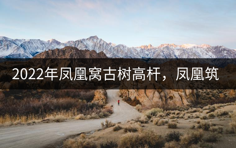 2022年鳳凰窩古樹高桿，鳳凰筑巢的地方