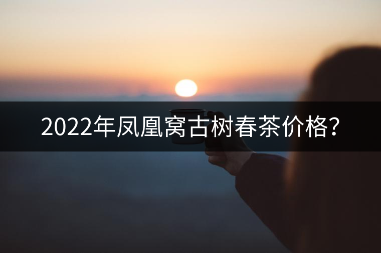 2022年鳳凰窩古樹(shù)春茶價(jià)格？
