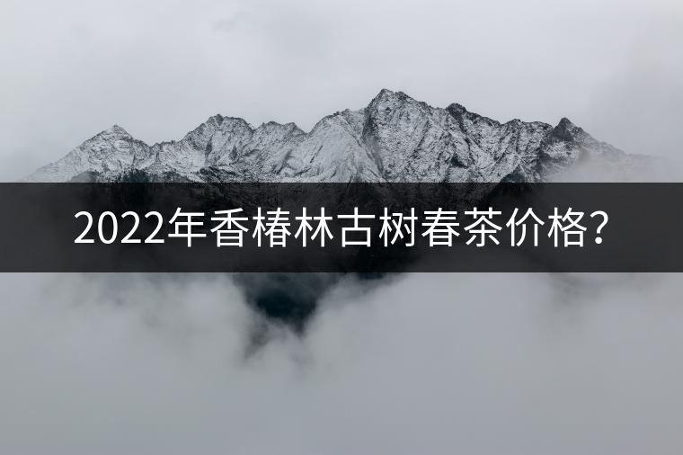 2022年香椿林古樹春茶價(jià)格？