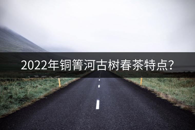 2022年銅箐河古樹春茶特點？