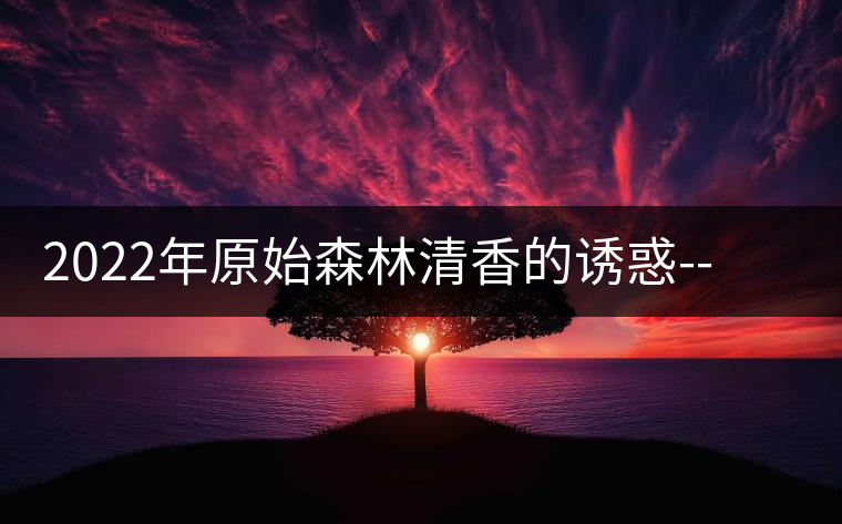 2022年原始森林清香的誘惑--大黑樹林古樹春茶 2022年原始森林清香的誘惑--大黑樹林古樹春茶