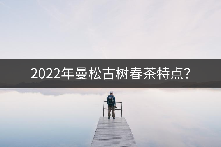 2022年曼松古樹春茶特點(diǎn)？