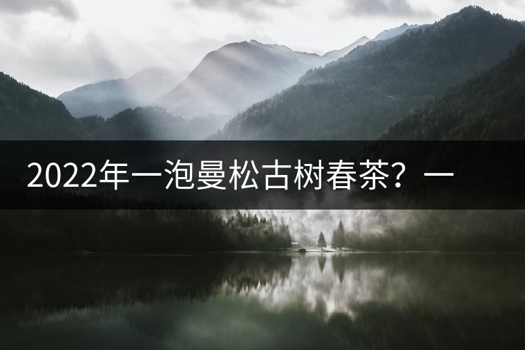 2022年一泡曼松古樹春茶？一飲帝王味……