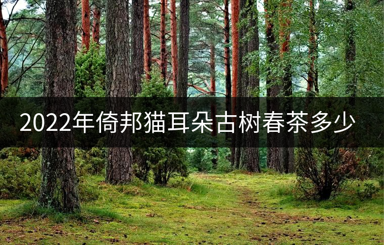 2022年倚邦貓耳朵古樹春茶多少錢一公斤？