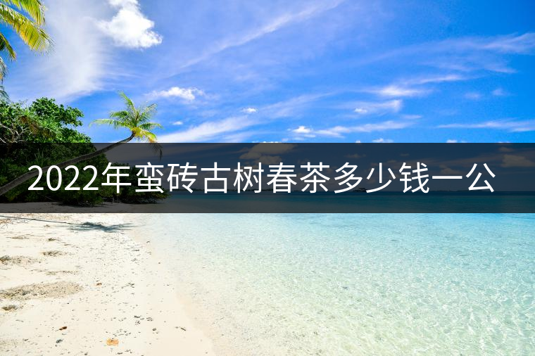 2022年蠻磚古樹春茶多少錢一公斤？