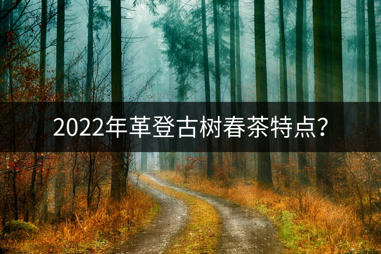 2022年革登古樹(shù)春茶特點(diǎn)？