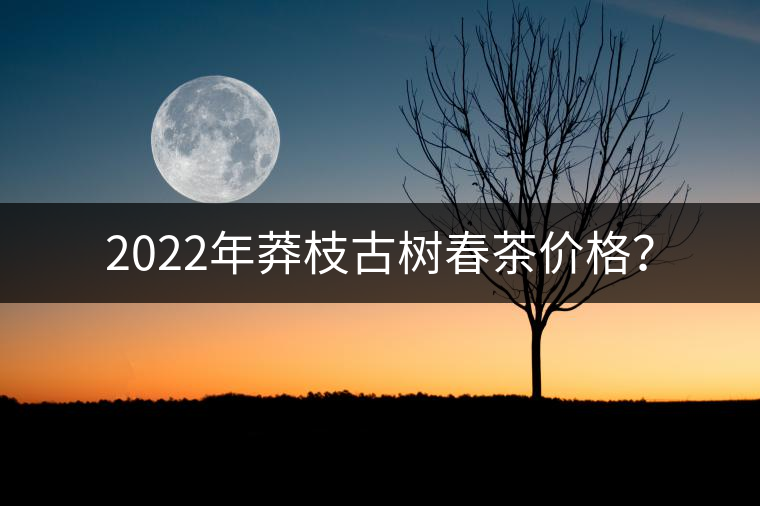 2022年莽枝古樹春茶價(jià)格? 2022年莽枝古樹春茶價(jià)格?