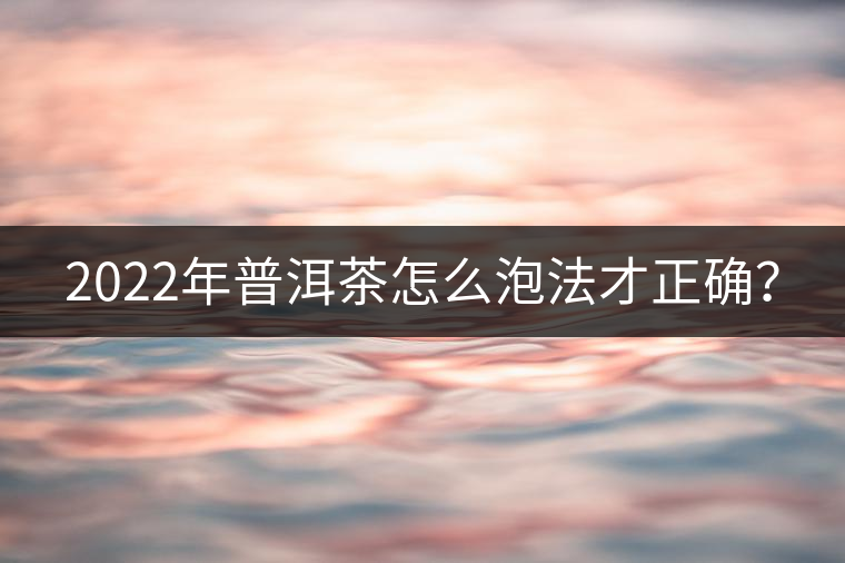 2022年普洱茶怎么泡法才正確？
