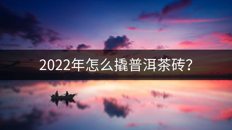 2022年怎么撬普洱茶磚？