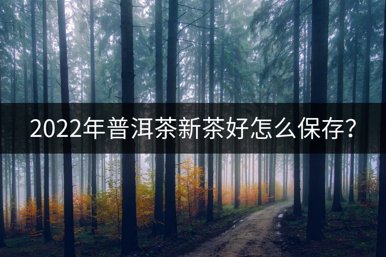 2022年普洱茶新茶好怎么保存？