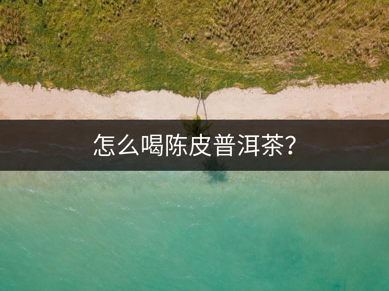 怎么喝陳皮普洱茶？
