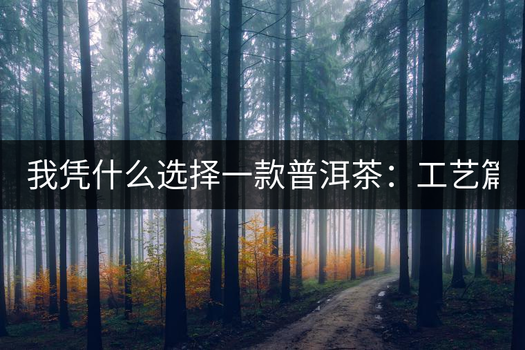 我憑什么選擇一款普洱茶：工藝篇？