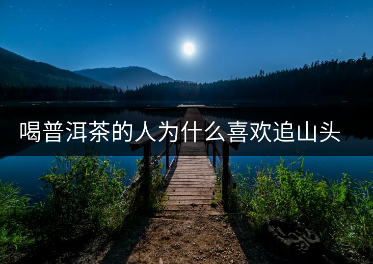 喝普洱茶的人為什么喜歡追山頭？無非就是這幾個(gè)原因