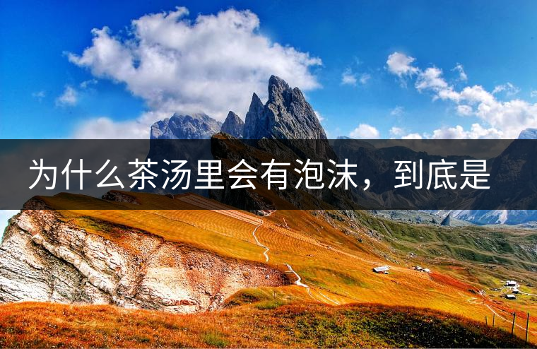 為什么茶湯里會(huì)有泡沫，到底是怎么回事？