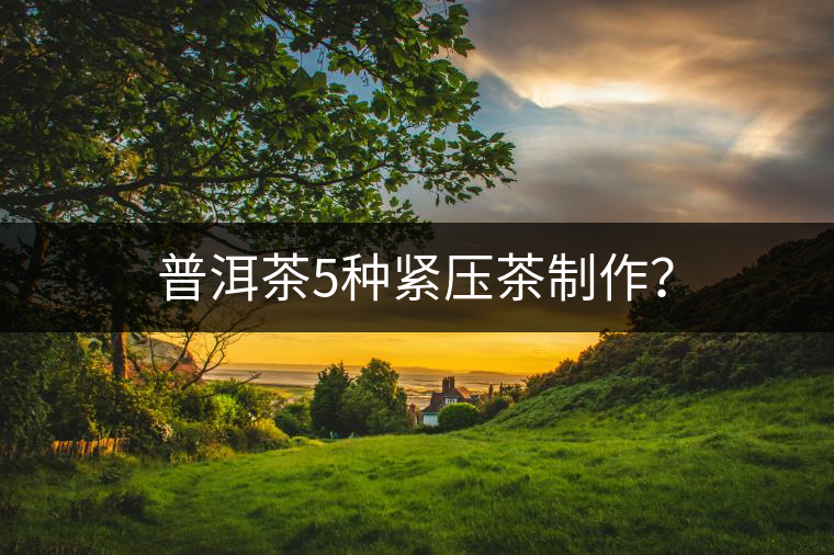 普洱茶5種緊壓茶制作？