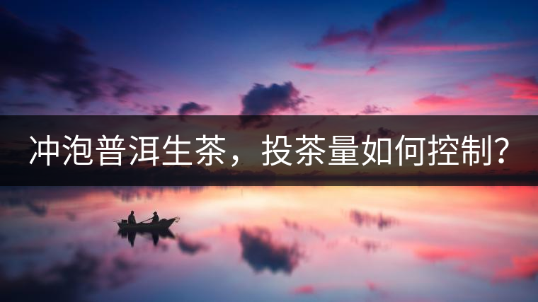 沖泡普洱生茶，投茶量如何控制？