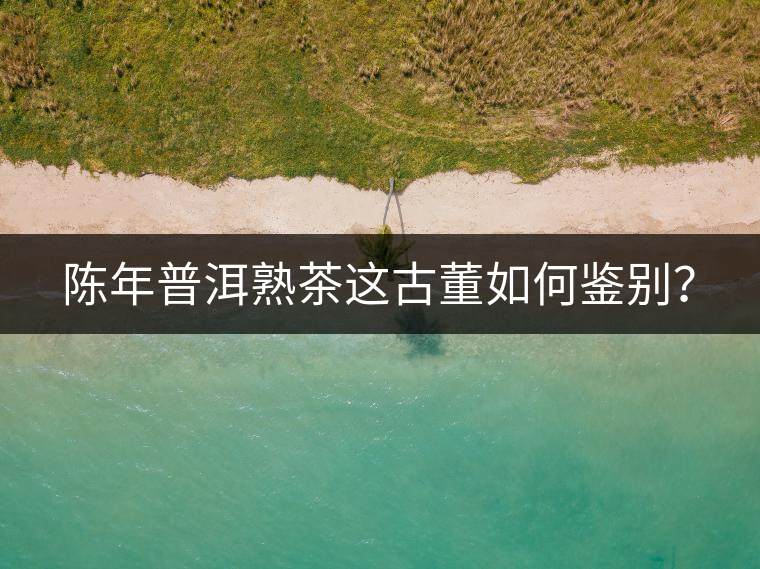 陳年普洱熟茶這古董如何鑒別？