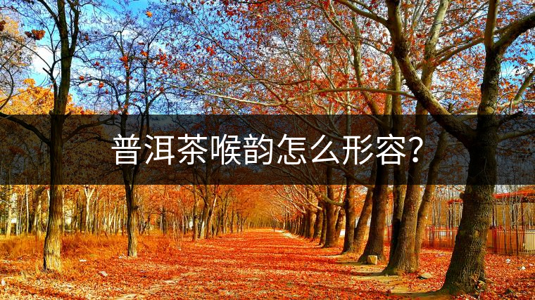 普洱茶喉韻怎么形容？