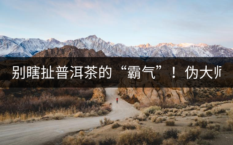 別瞎扯普洱茶的“霸氣”！偽大師！