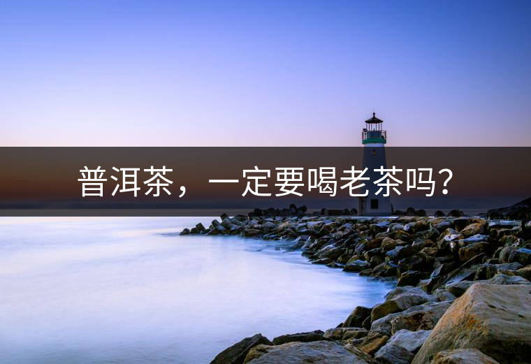普洱茶，一定要喝老茶嗎？
