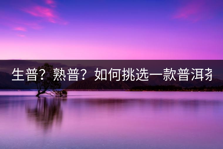 生普？熟普？如何挑選一款普洱茶？