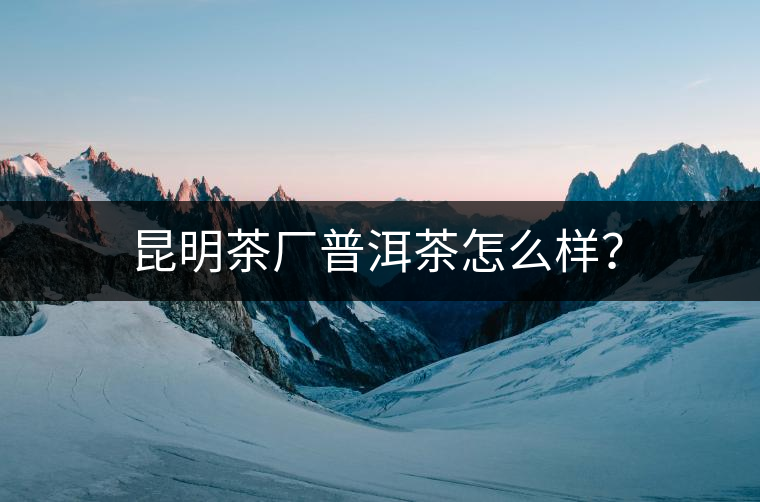 昆明茶廠普洱茶怎么樣？