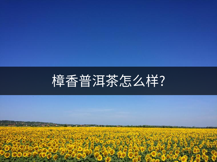 樟香普洱茶怎么樣? 樟香普洱茶怎么樣?