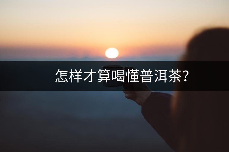 怎樣才算喝懂普洱茶? 怎樣才算喝懂普洱茶?