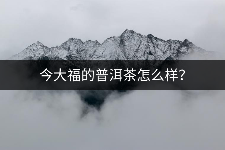 今大福的普洱茶怎么樣？