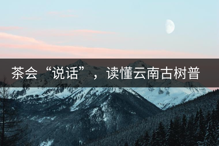 茶會(huì)“說(shuō)話”,讀懂云南古樹(shù)普洱茶的秘訣 茶會(huì)“說(shuō)話”,讀懂云南古樹(shù)普洱茶的秘訣