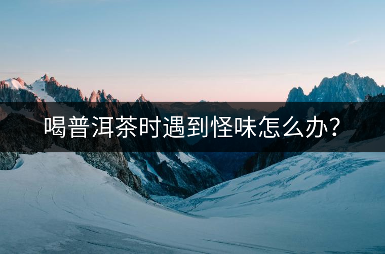 喝普洱茶時遇到怪味怎么辦？