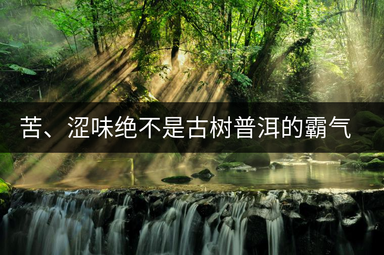 苦、澀味絕不是古樹(shù)普洱的霸氣，那也叫懂普洱茶，別逗了！