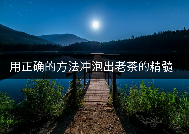 用正確的方法沖泡出老茶的精髓；評(píng)看普洱茶葉底也是一門手藝！