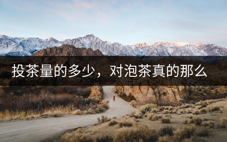 投茶量的多少，對泡茶真的那么重要嗎？