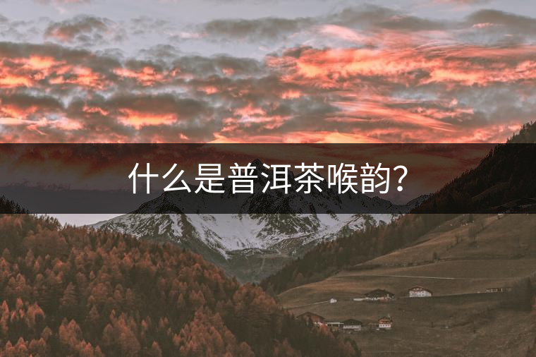 什么是普洱茶喉韻？