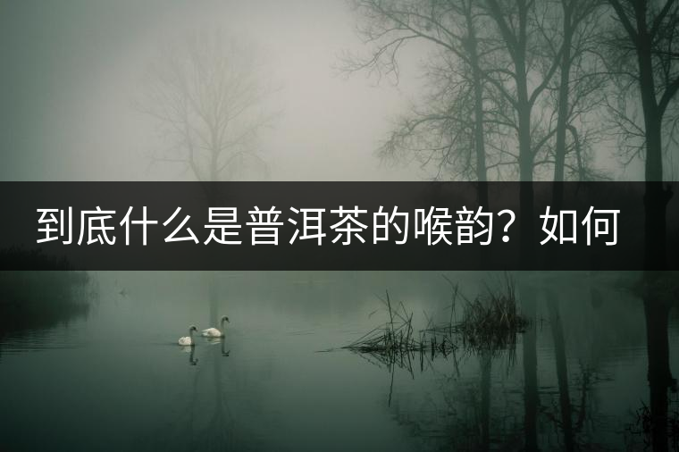 到底什么是普洱茶的喉韻？如何感受？