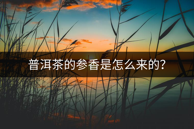 普洱茶的參香是怎么來(lái)的？