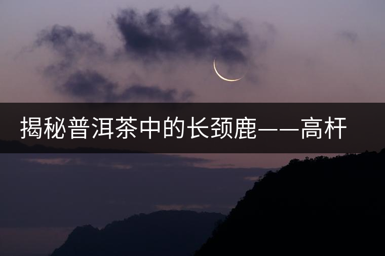 揭秘普洱茶中的長頸鹿——高桿古樹茶 揭秘普洱茶中的長頸鹿——高桿古樹茶