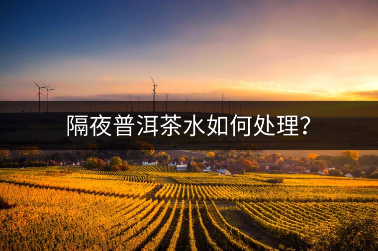 隔夜普洱茶水如何處理？