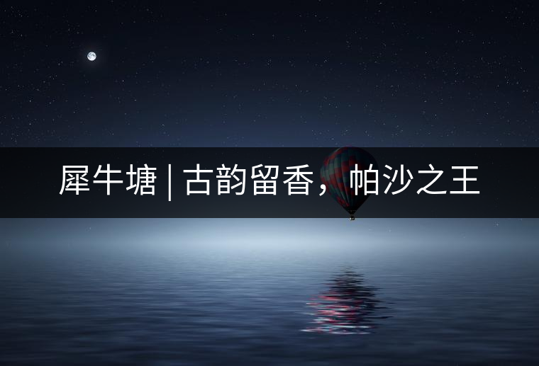 犀牛塘 | 古韻留香，帕沙之王