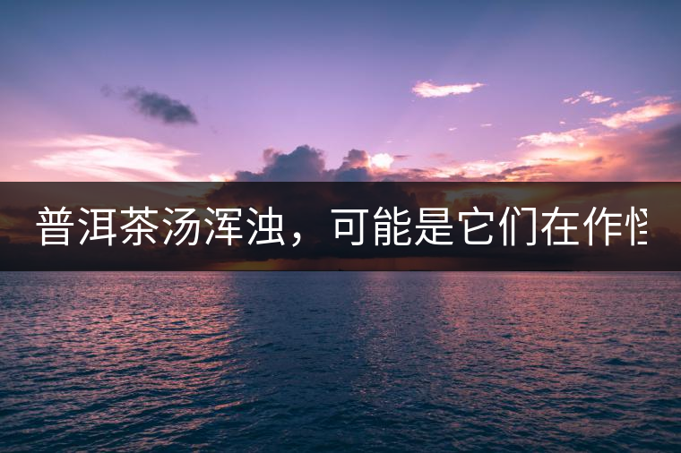 普洱茶湯渾濁,可能是它們?cè)谧鞴郑? alt=