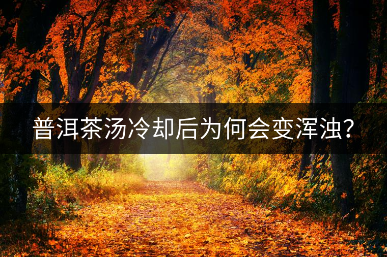 普洱茶湯冷卻后為何會(huì)變渾濁？