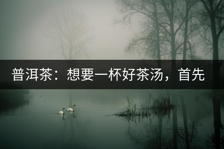 普洱茶：想要一杯好茶湯，首先要會(huì)醒茶