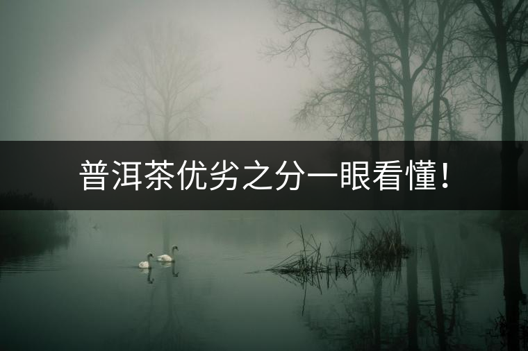 普洱茶優(yōu)劣之分一眼看懂！